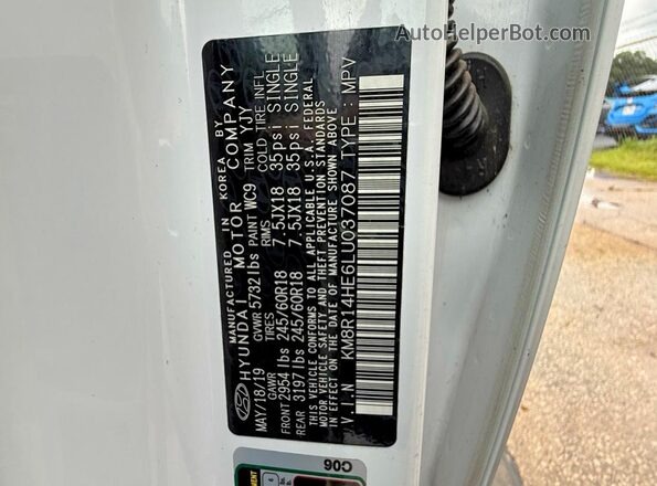 KM8R14HE6LU037087 2020 HYUNDAI PALISADE Белый Вид задней части салона