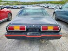 1978 Ford Mustang Black vin: 8F02Y260164