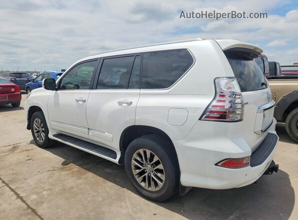 JTJJM7FX3H5174498 2017 LEXUS GX White Tył prawy