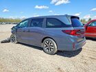 2026 Honda Odyssey Exl Синий vin: 5FNRL6H68TB020772