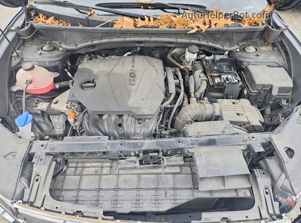 5NMJECDE8RH329569 2024 HYUNDAI TUCSON Черный Вид подкапотного пространства