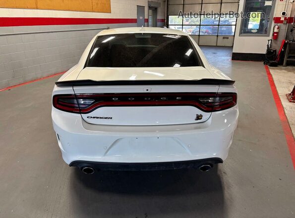 2C3CDXGJ6PH505771 2023 DODGE CHARGER Белый Вид наклейки с VIN-кодом