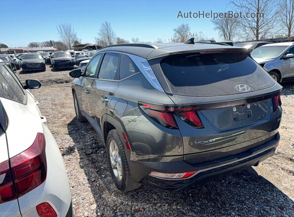 KM8JBCDE8RU286378 2024 HYUNDAI TUCSON Crimson Передняя правая четверть