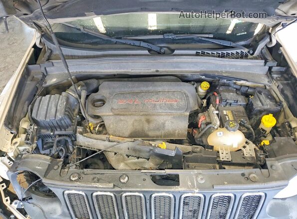 ZACCJBBT6GPD80561 2016 JEEP RENEGADE Желто-коричневый Вид наклейки с VIN-кодом