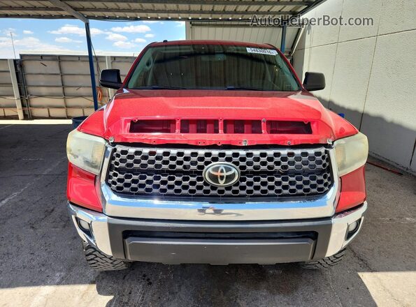 5TFEY5F16KX245780 2019 TOYOTA TUNDRA Red უკანა ხედი