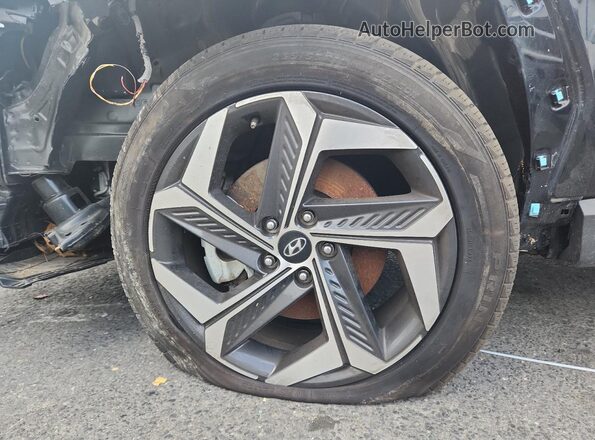 5NMJECDE8RH329569 2024 HYUNDAI TUCSON Черный 