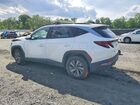 2024 Hyundai Tucson Blue Белый vin: KM8JBCD18RU156520