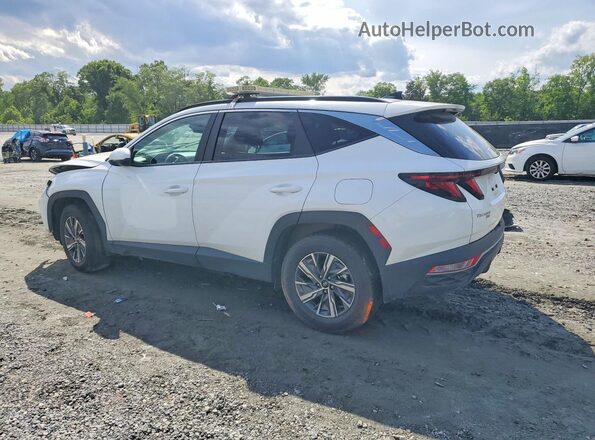 KM8JBCD18RU156520 2024 HYUNDAI TUCSON Белый Задняя правая четверть