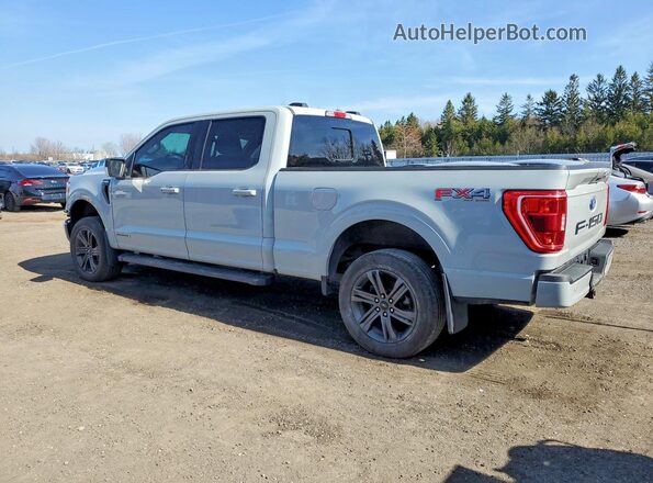 1FTFW1ED4PFA67539 2023 FORD F150 Серый Задняя левая четверть