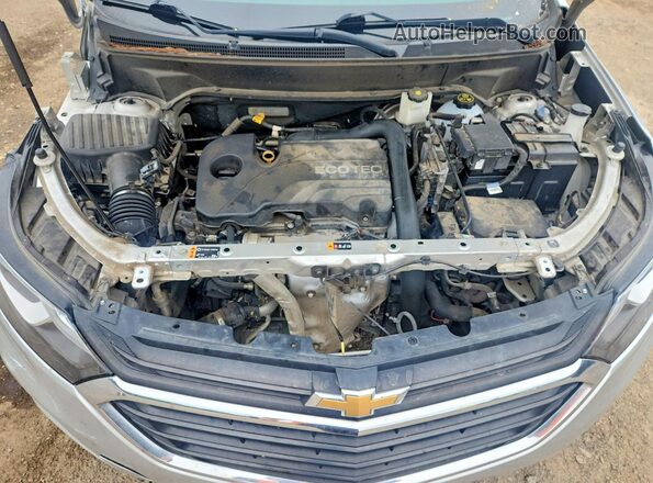 3GNAXFEV6MS104957 2021 CHEVROLET EQUINOX Silver Widok naklejki z numerem VIN