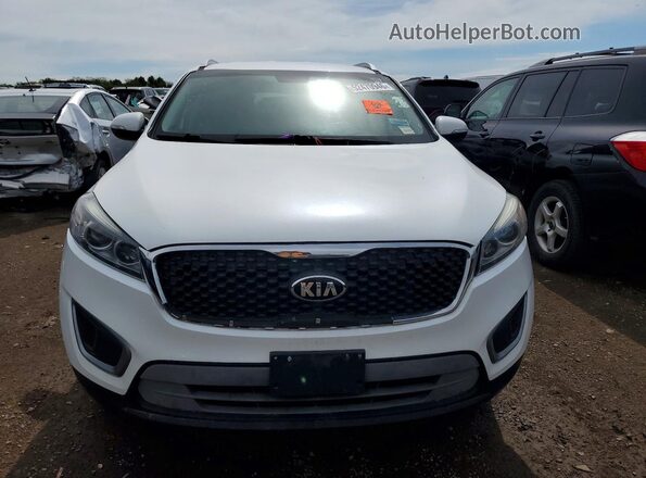 5XYPG4A32HG239825 2017 KIA SORENTO Белый Вид сзади