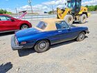 1979 Alfa Romeo Spider Blue vin: AR115410007662