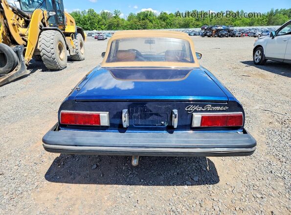 AR115410007662 1979 ALFA ROMEO SPIDER Blue Вид ззаду