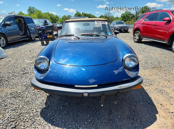 AR115410007662 1979 ALFA ROMEO SPIDER Blue Вид спереду