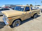 1978 Ford F100 Beige vin: F10BNBC3094