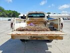 1968 Ford F250 White vin: F25YRC59897