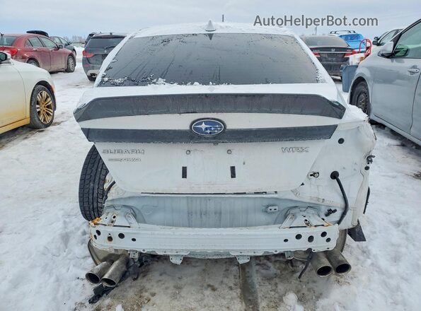 JF1VBAA62P9803431 2023 SUBARU WRX Белый Вид сзади