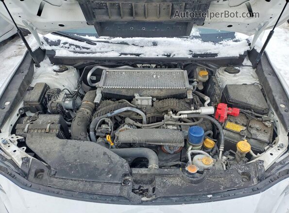 JF1VBAA62P9803431 2023 SUBARU WRX Белый Вид задней части салона
