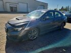 2024 Subaru Wrx Gray vin: JF1VBAB67R9813745
