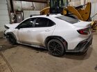 2023 Subaru Wrx Premium White vin: JF1VBAF67P9808360