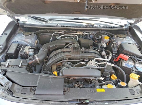 JF2GTAMC0K8320506 2019 SUBARU CROSSTREK Silver Սալոնի հետևի տեսք