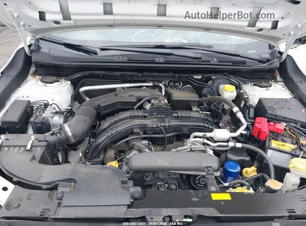 JF2GUADC9R8865188 2024 SUBARU CROSSTREK Белый Вид сзади