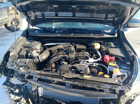 JF2GUHDC0S8342902 2025 SUBARU CROSSTREK Серый Вид задней части салона