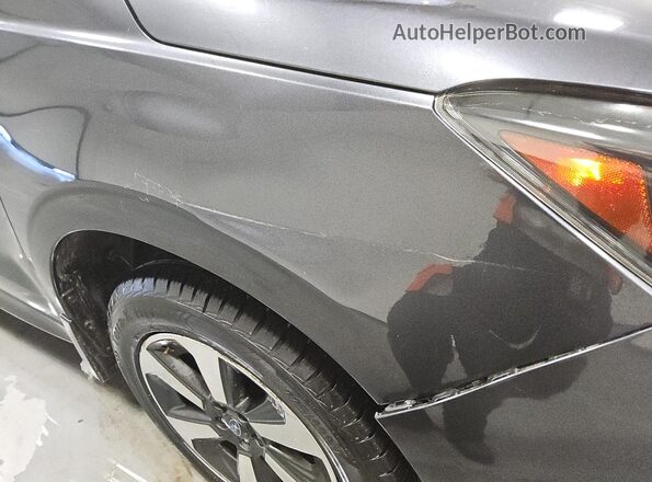 JF2SJABC9HH426528 2017 SUBARU FORESTER Угольный 