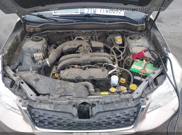JF2SJAKC1GH543731 2016 SUBARU FORESTER Gold Вид ззаду
