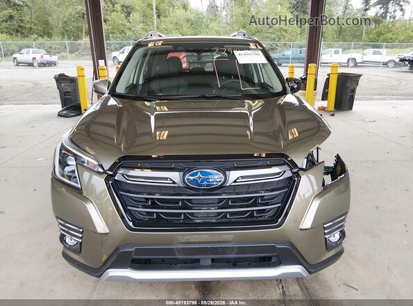 JF2SKAMC3RH469869 2024 SUBARU FORESTER Зеленый Вид задней части салона