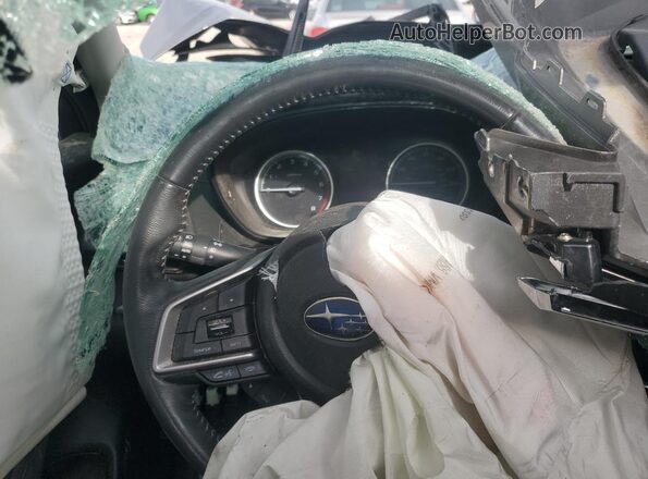 JF2SKASC4KH537668 2019 SUBARU FORESTER Коричневый Вид щитка приборов