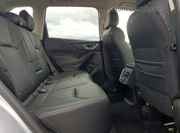 JF2SKAXC6LH417784 2020 SUBARU FORESTER Серебряный Вид задней части салона