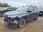 2025 Subaru Forester Gray vin: JF2SLDAC6SH541754