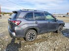 2025 Subaru Forester Premium Gray vin: JF2SLDDC9SH416176