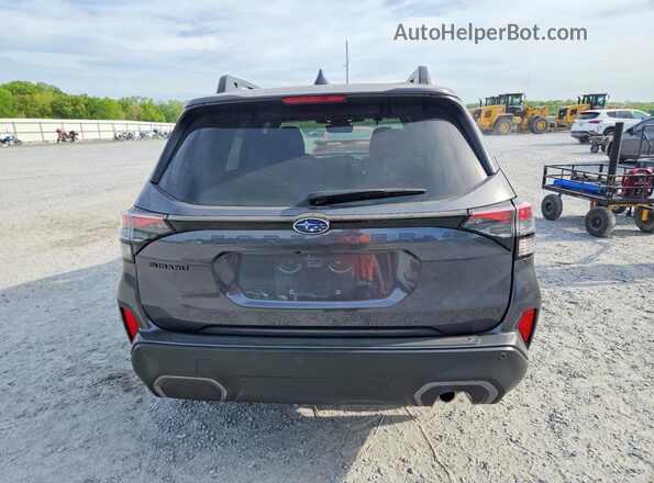 JF2SLDRC3SH449909 2025 SUBARU FORESTER Серый Вид сзади