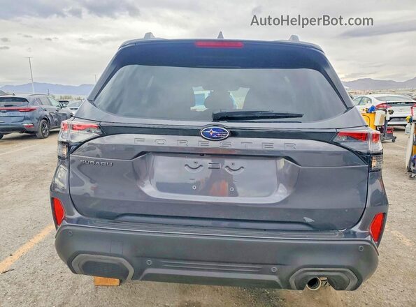 JF2SLDRC4SH600823 2025 SUBARU FORESTER Gray Widok z tyłu