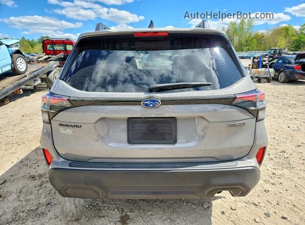 JF2SLSED4SH431356 2025 SUBARU FORESTER Серый Вид сзади