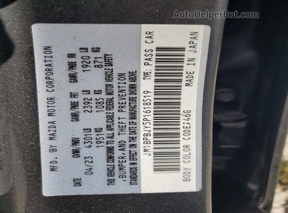 JM1BPBJY5P1618519 2023 MAZDA 3 Серый Вид наклейки с VIN-кодом