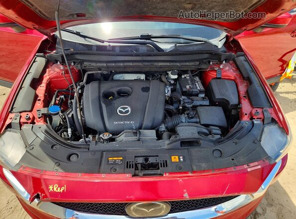 JM3KFACM9M1328357 2021 MAZDA CX-5 Красный Вид задней части салона