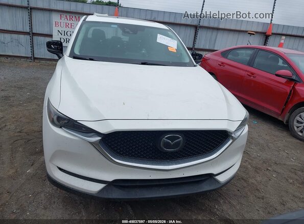 JM3KFADM0L0810475 2020 MAZDA CX-5 Белый Вид задней части салона