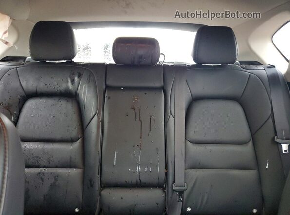 JM3KFBBL5R0501903 2024 MAZDA CX-5 Blue Vista de los asientos traseros