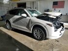2024 Mazda Cx-5 Preferred Tan vin: JM3KFBCL2R0473038 Damage: Right Front Door, Dent(S) W/No Paint Dmg, > 12 Inches 2024 Mazda Cx-5 Preferred Tan vin: JM3KFBCL2R0473038 Damage: Right Front Door, Dent(S) W/No Paint Dmg, > 12 Inches
