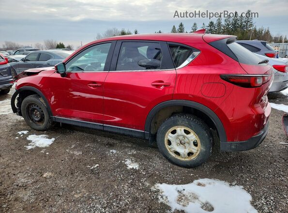 JM3KFBCL2R0536588 2024 MAZDA CX-5 Red Задня ліва чверть