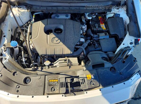 JM3KFBEM2S0780012 2025 MAZDA CX-5 Белый Вид задней части салона