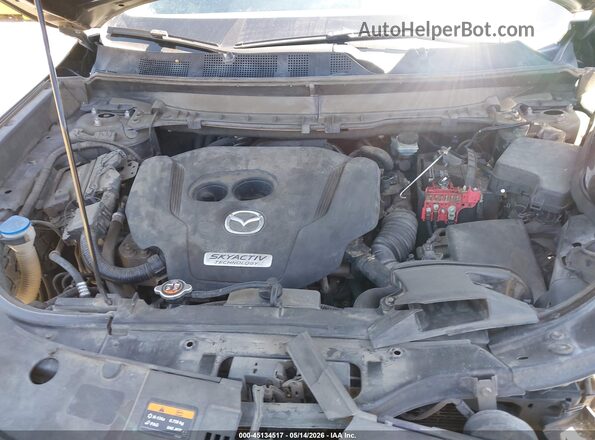 JM3TCACY7G0119032 2016 MAZDA CX-9 Gray Widok z tyłu