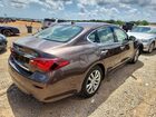 2019 Infiniti Q70 3.7 Luxe Brown vin: JN1BY1AR2KM585019