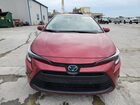 2024 Toyota Corolla Hybrid Le Red vin: JTDBDMHE0RJ010880