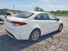 2020 Toyota Corolla Le Белый vin: JTDEPRAE1LJ033703 2020 Toyota Corolla Le Белый vin: JTDEPRAE1LJ033703