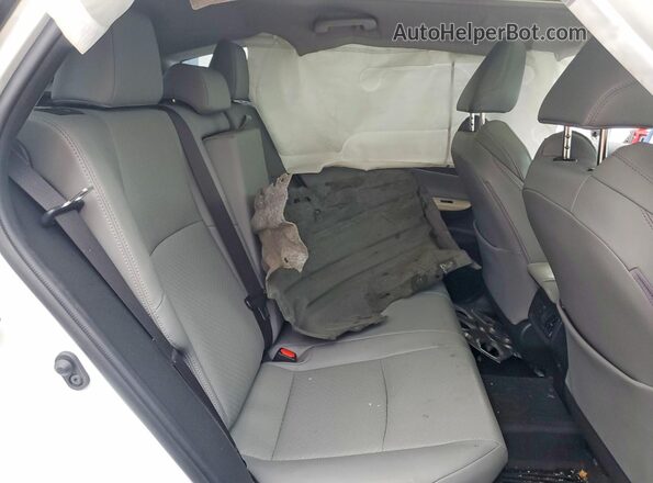 JTEAAAAH9PJ146019 2023 TOYOTA VENZA Белый Вид задних сидений