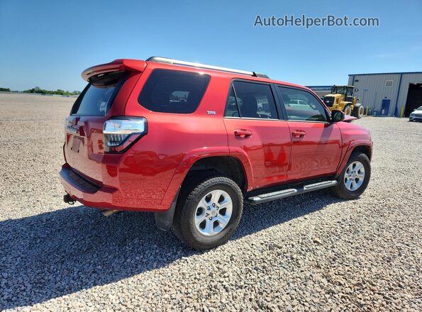 JTEEU5JR0M5241310 2021 TOYOTA 4RUNNER Красный Задняя правая четверть
